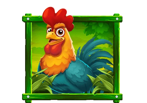 Rooster