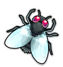 Fly