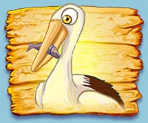 Seagull