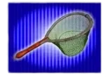 Fishing Net
