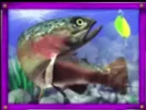 Purple Fish