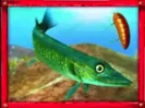 Red Fish
