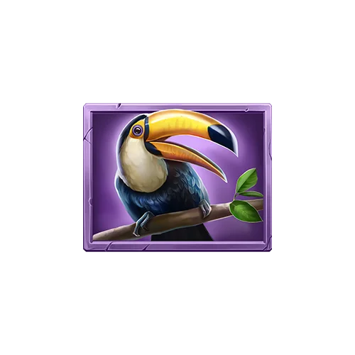 Toucan