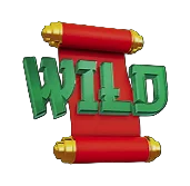 Wild Symbol