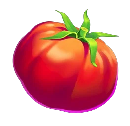 Tomato