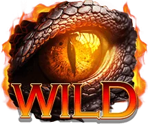 Wild Symbol