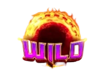 Wild Symbol