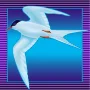 Dove