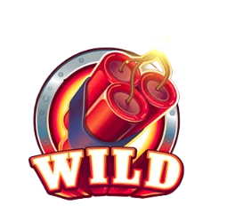 Wild Symbol