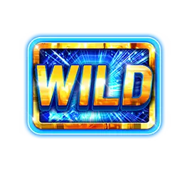 Wild Symbol