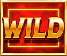 Wild Symbol