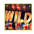 Wild Symbol