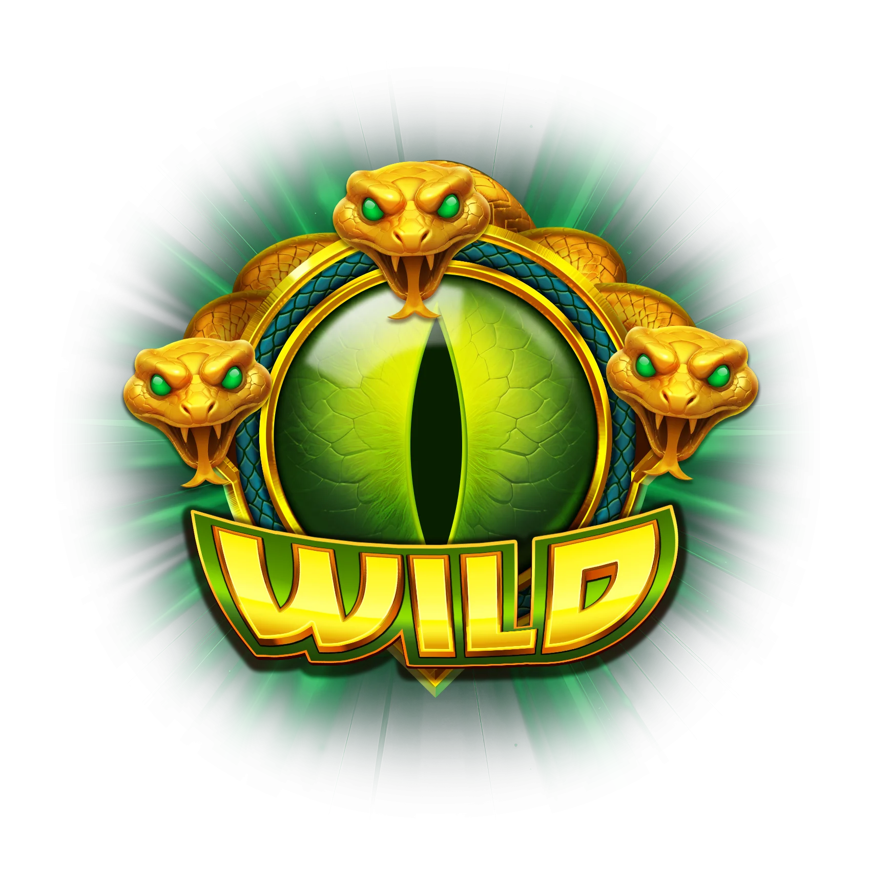 Wild Symbol