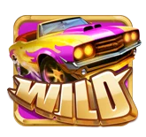 Wild Symbol