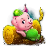 Pig 3