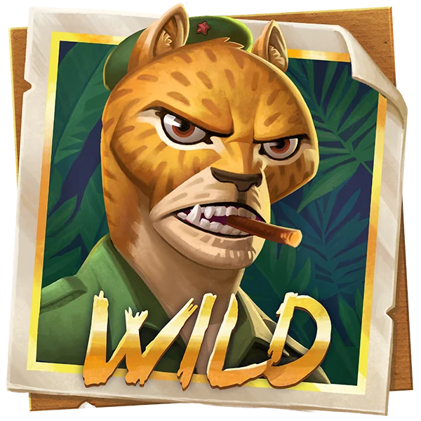 Wild Symbol