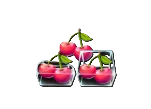 Cherries