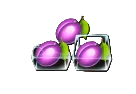 Plums