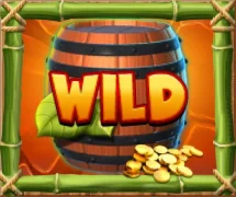 Wild Symbol