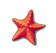 Starfish