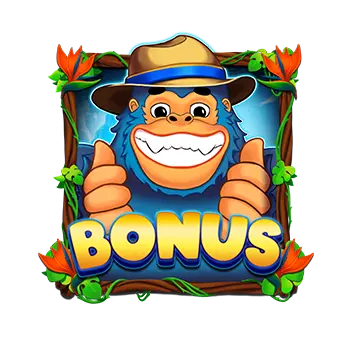 Bonus Collect