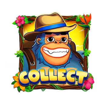 Collect