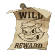 Wild Symbol