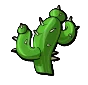 Cactus