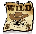 Wild Symbol