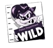 Wild Symbol