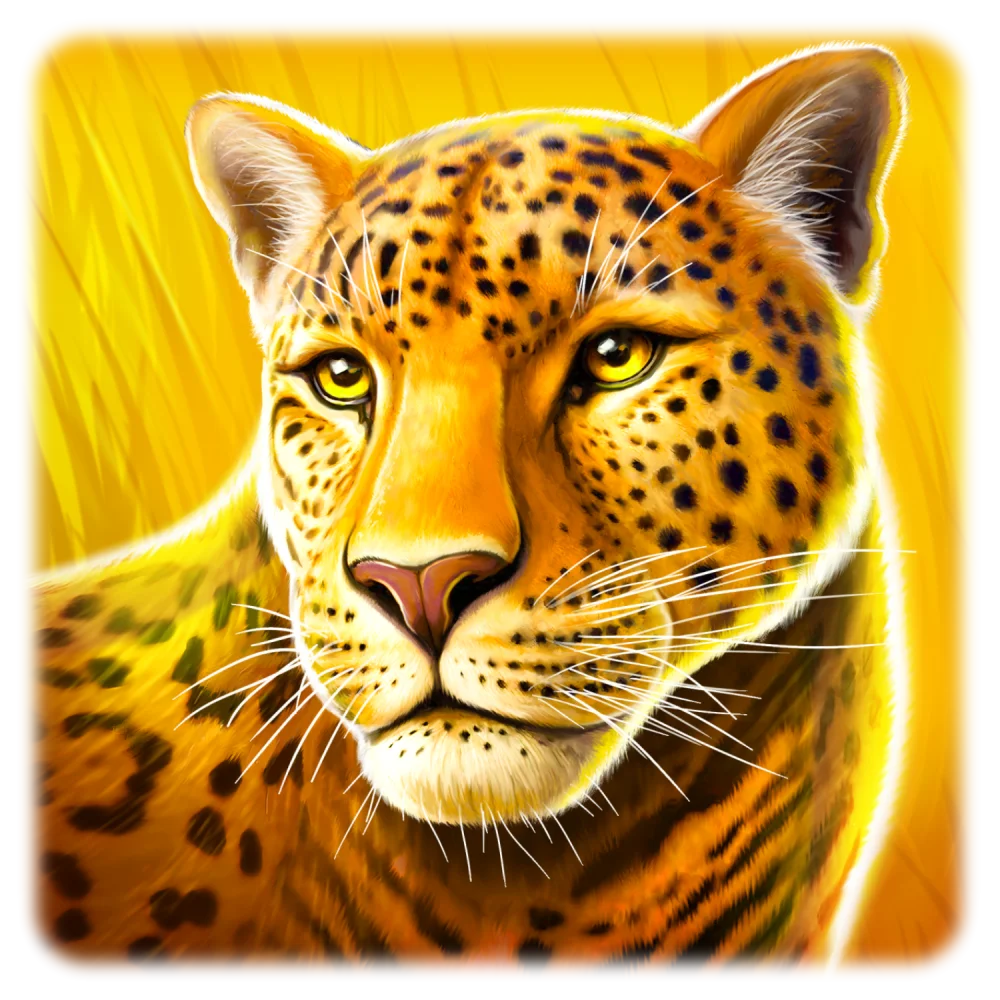 Cheetah
