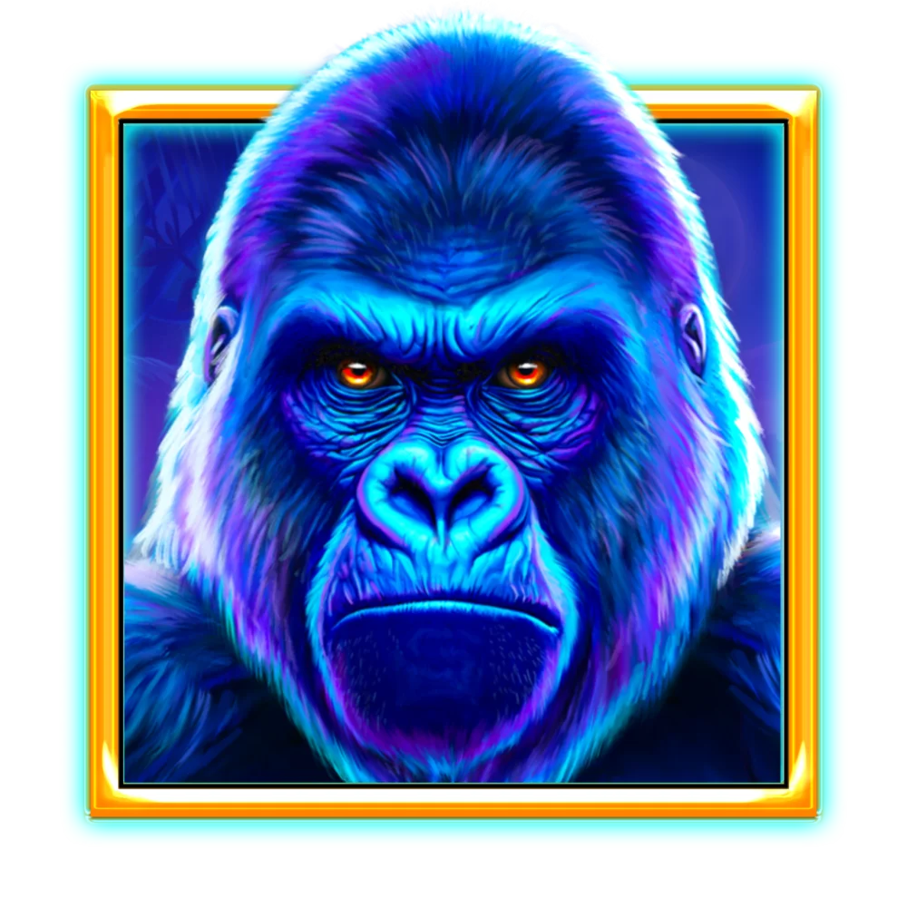 Gorilla