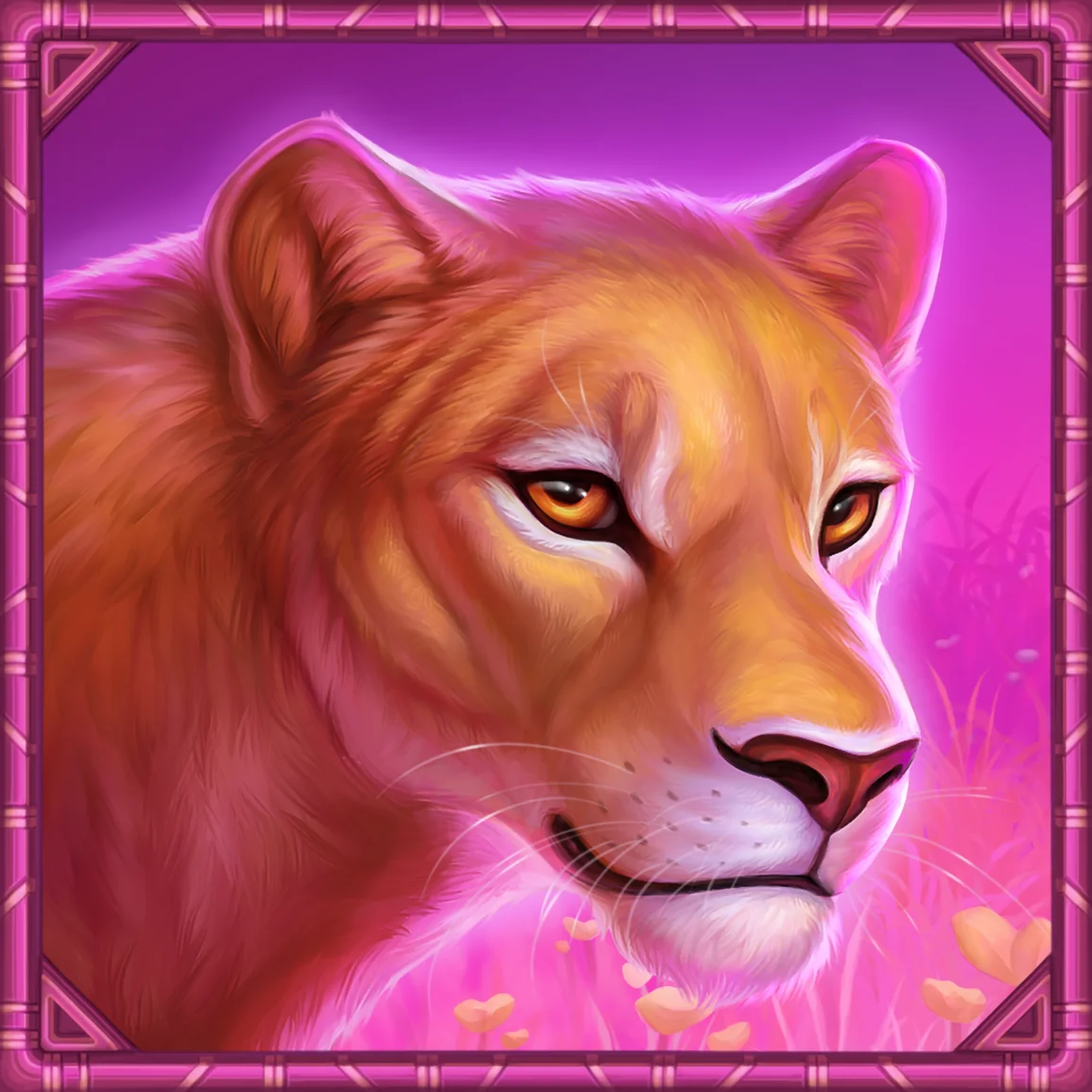 Cheetah