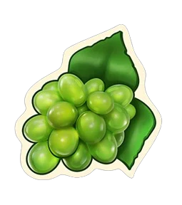 Grapes