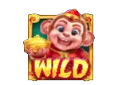 Wild Symbol