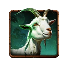Goat