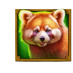 Red Panda