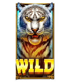 Wild Symbol