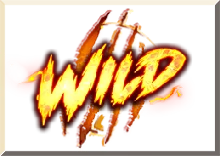 Wild Symbol