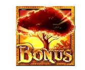 Bonus Symbol