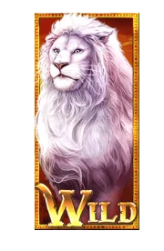 Wild Symbol
