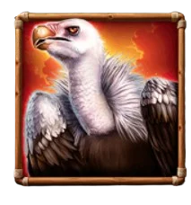 Vulture