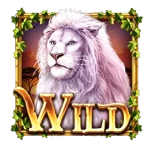 Wild Symbol