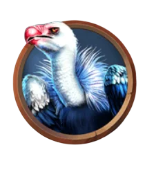 Vulture