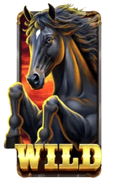 Wild Symbol