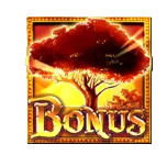 Bonus