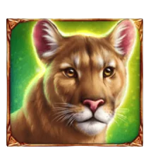 Cougar
