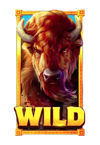 Wild Symbol