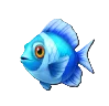 Blue Fish