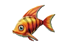 Orange Fish